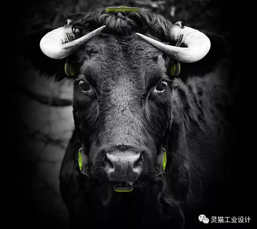 一个因设计而改变牦牛生存现状的智能设备