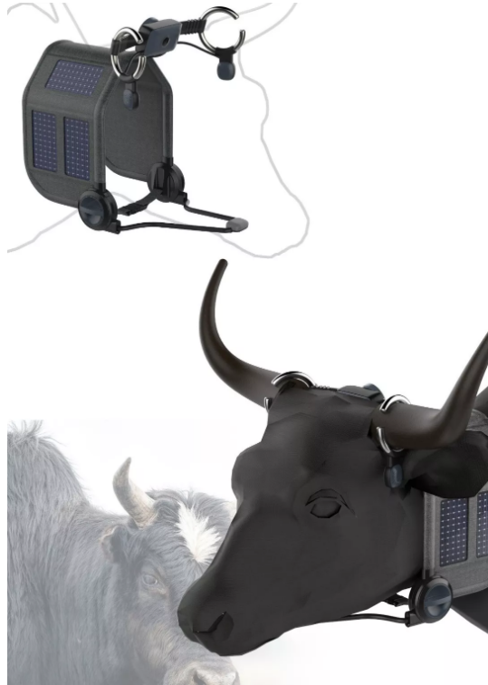 产品效果图：