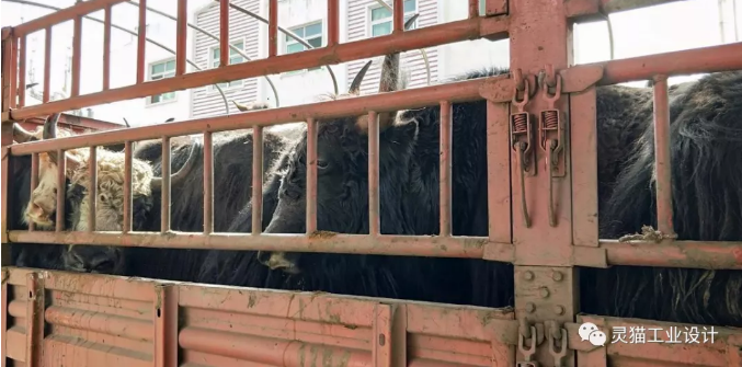  获奖设计师心得体会：